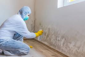 Mold Remediation for Vacation Homes in Parkville, MD